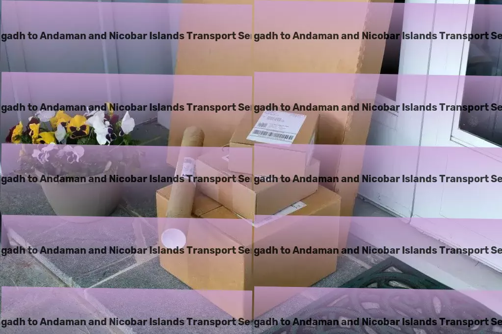 Amirgadh to Andaman And Nicobar Islands Household Goods Transport Multi-city freight coordination